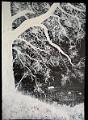 encre blanche_0006 (soldout)